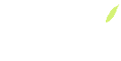 AEY dal ve yaprak monogramu