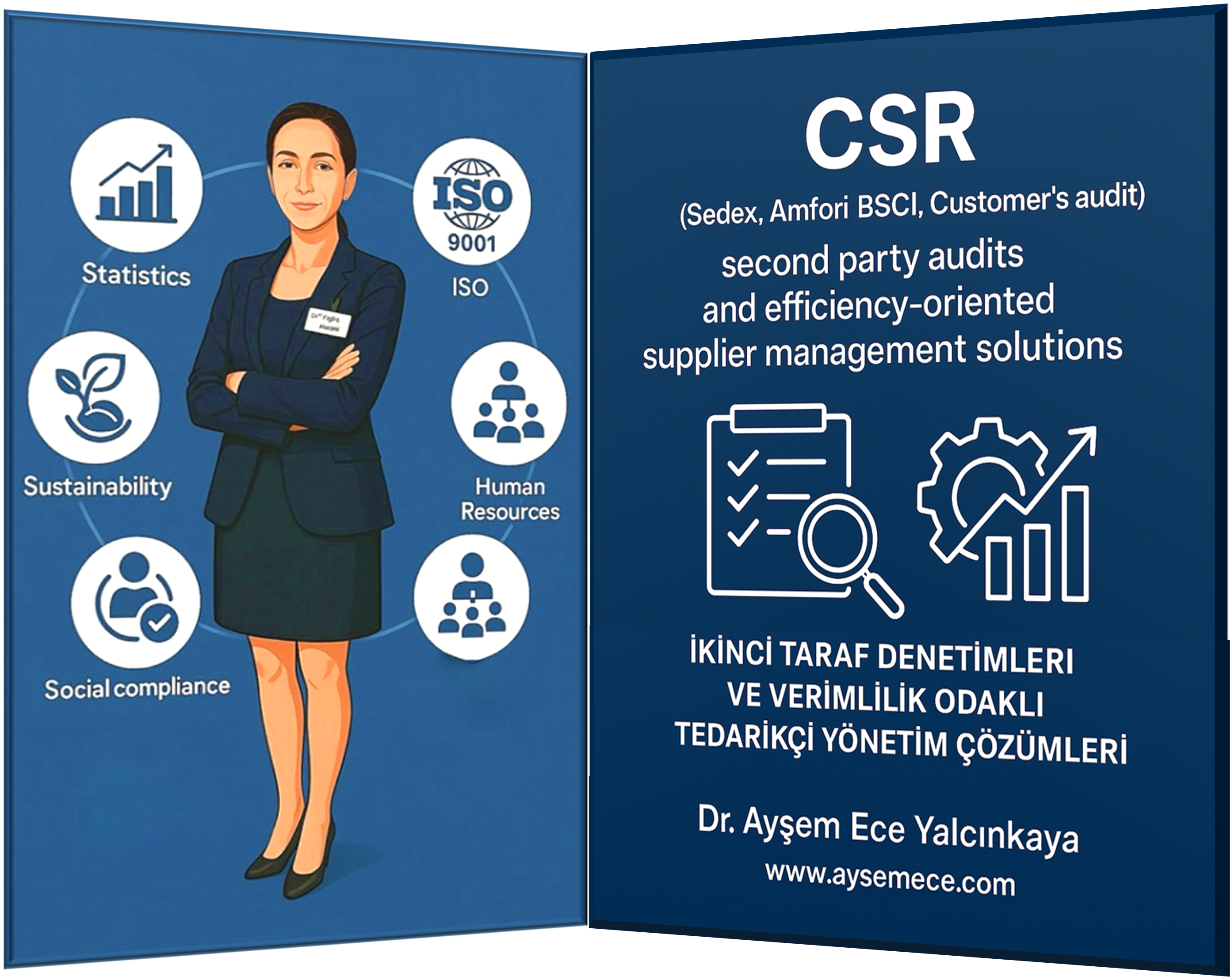 Second party audit and system consultant